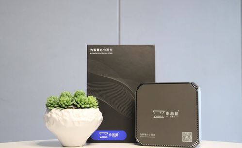 高顏值為何成為電子產(chǎn)品的制勝利器 以“小芯機(jī)”為例